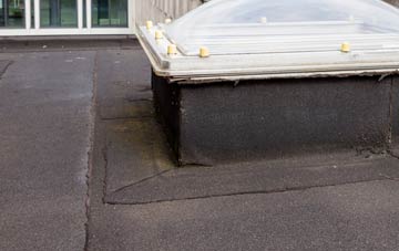 disadvantages of Trefrize flat roofs