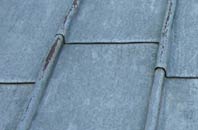 find rated Trefrize lead roofing companies